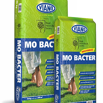 Mo Bacter.jpg