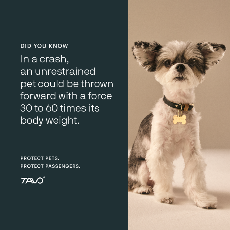 Tavo - Imagine the Impact campaign image  