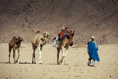 Timimounmanwithcamelsdreamstimem137941086.jpg