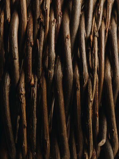 YERA-Details-1©Charlotte Lapalus-FORESTIS (20).jpg