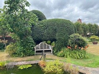 Angela Hawkins - Second Place in UK Home Gardener Category