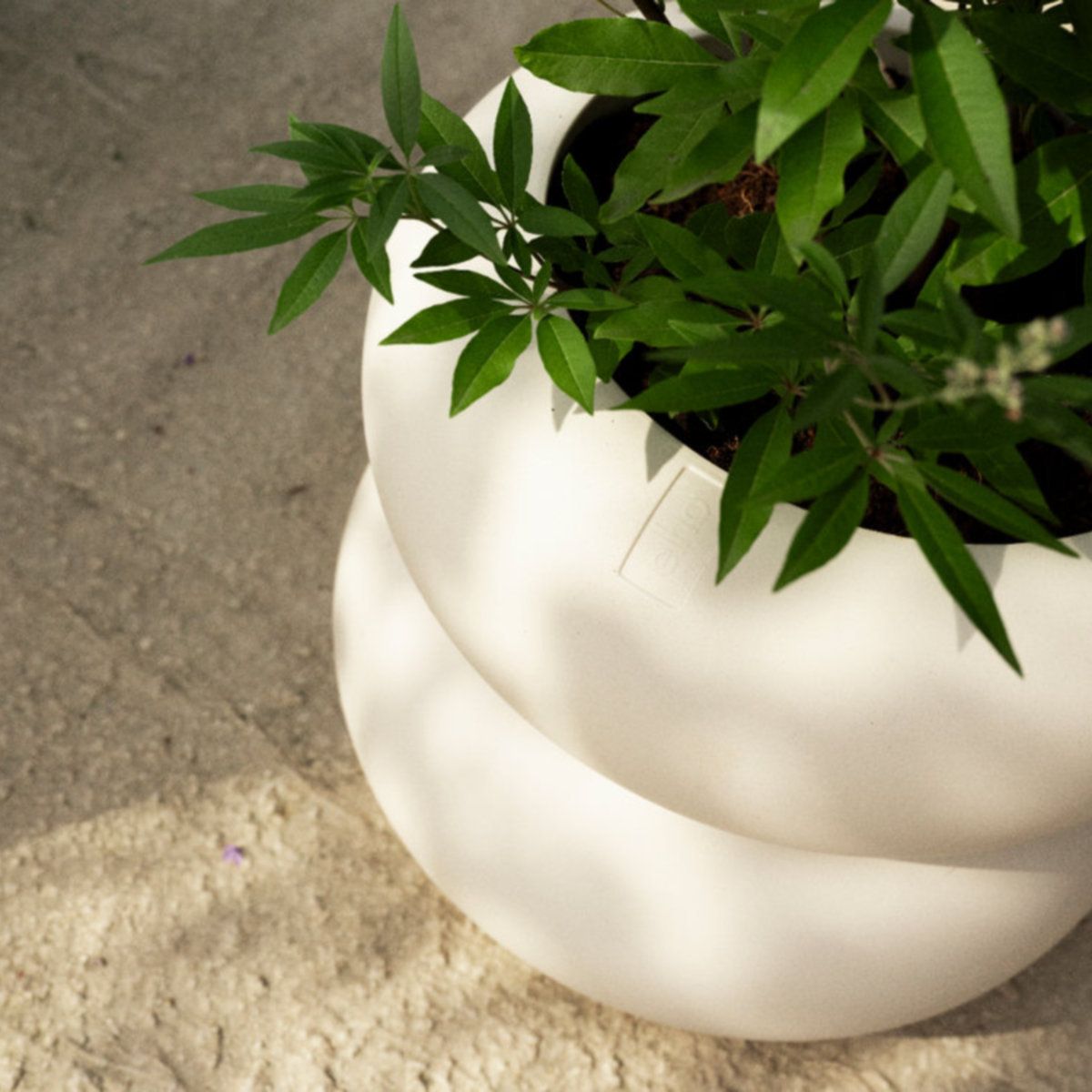 Charles Bentley partners with sustainable plant pot innovator elho to stock premium collection 