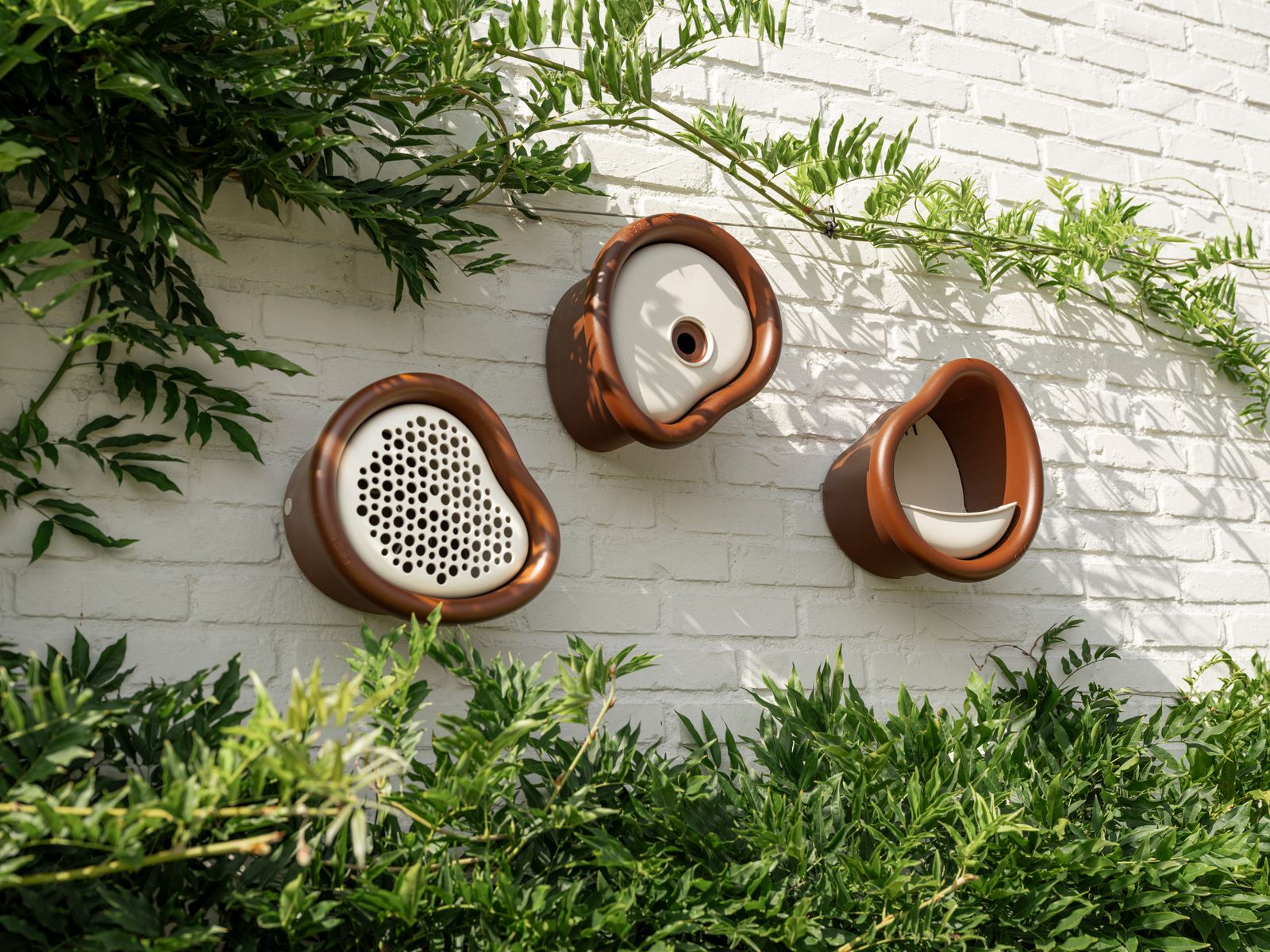 b's organic collection