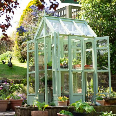 Thorndown Sedge Green Wood Paint on Forest Walkaround Greenhouse.jpg