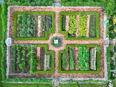 Paul Everden - First Place in UK Home Gardener Category