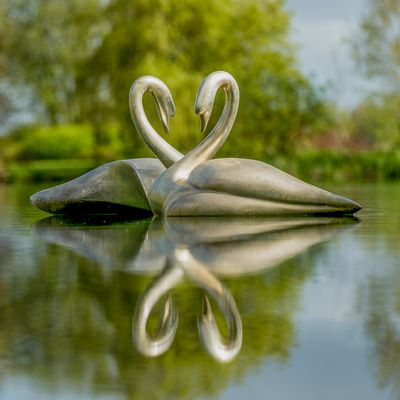 Swans by Simon Gudgeon-  Sculpture by the Lakes.jpg