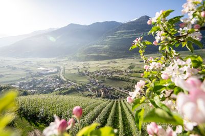 Spring (3).jpg