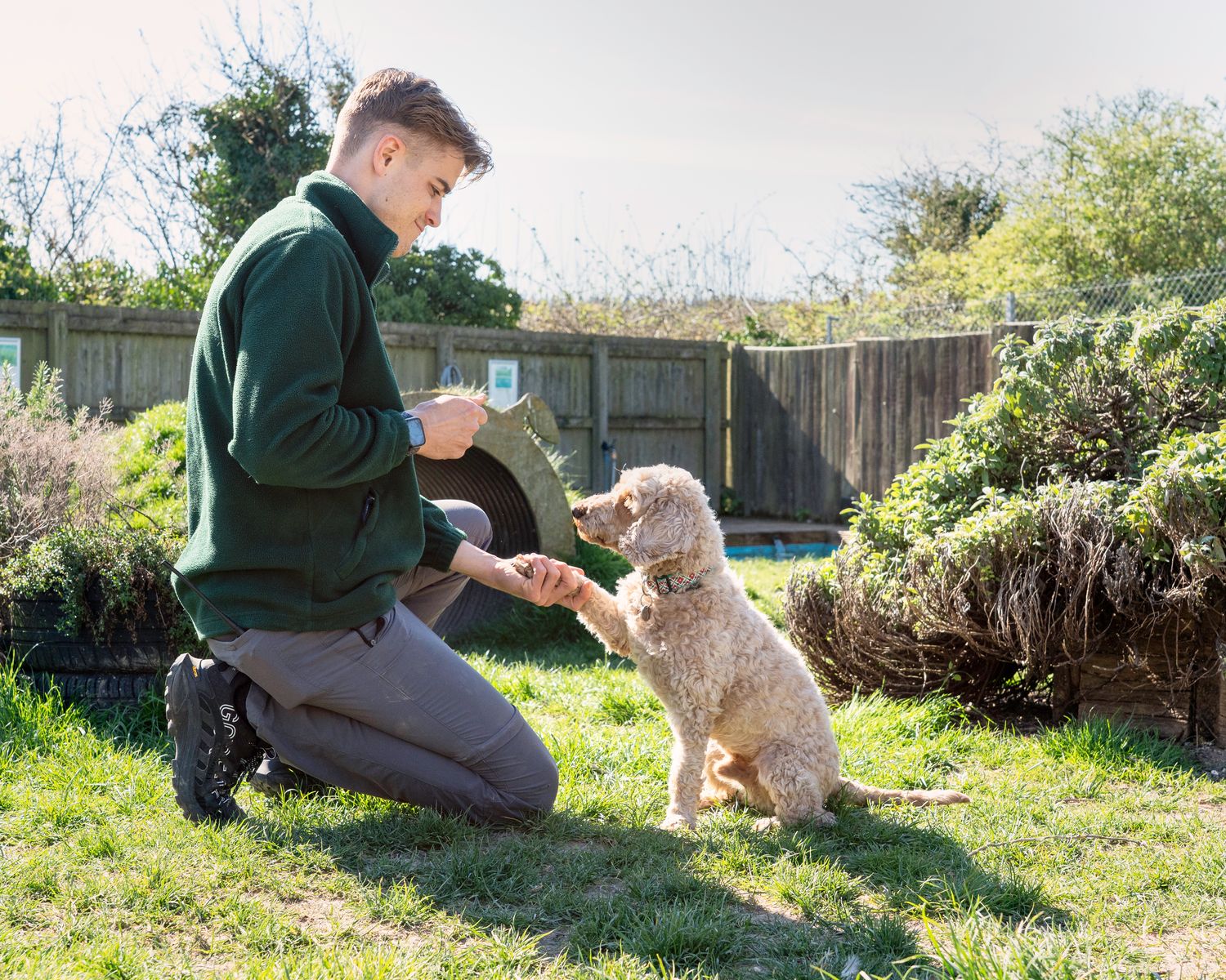 Jacob Saunders, Senior Animal Rescue Carer at Margaret Green Animal Rescue.jpg