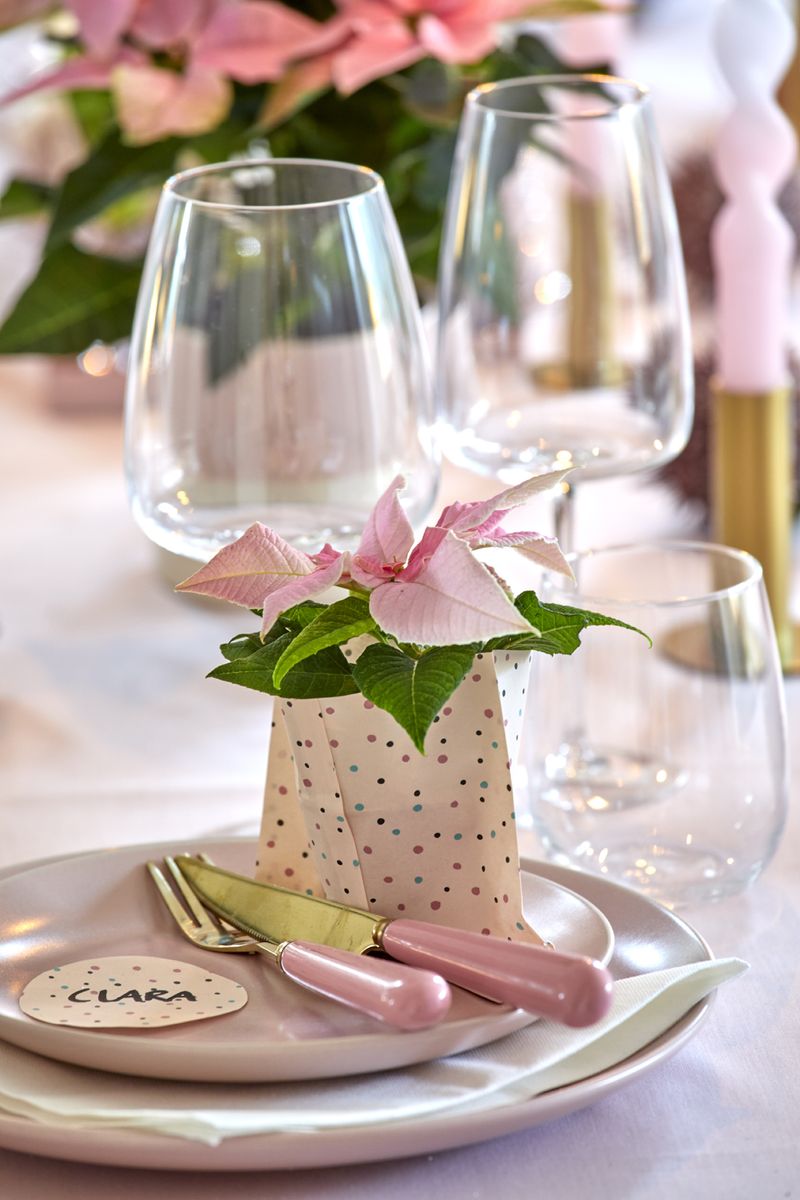 2022_poinsettia_04000_Christmas_Fairy_Tale_31.jpg