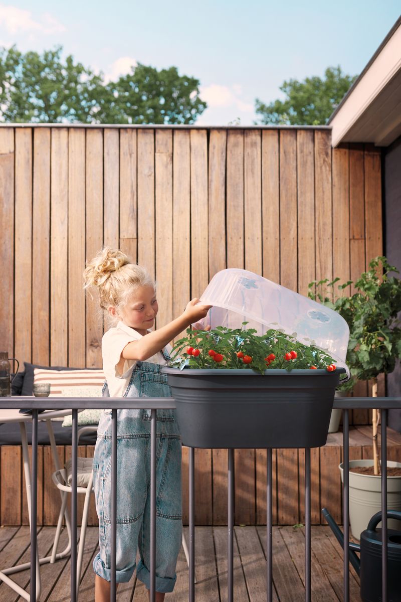 green basics balcony grow set 55cm living black