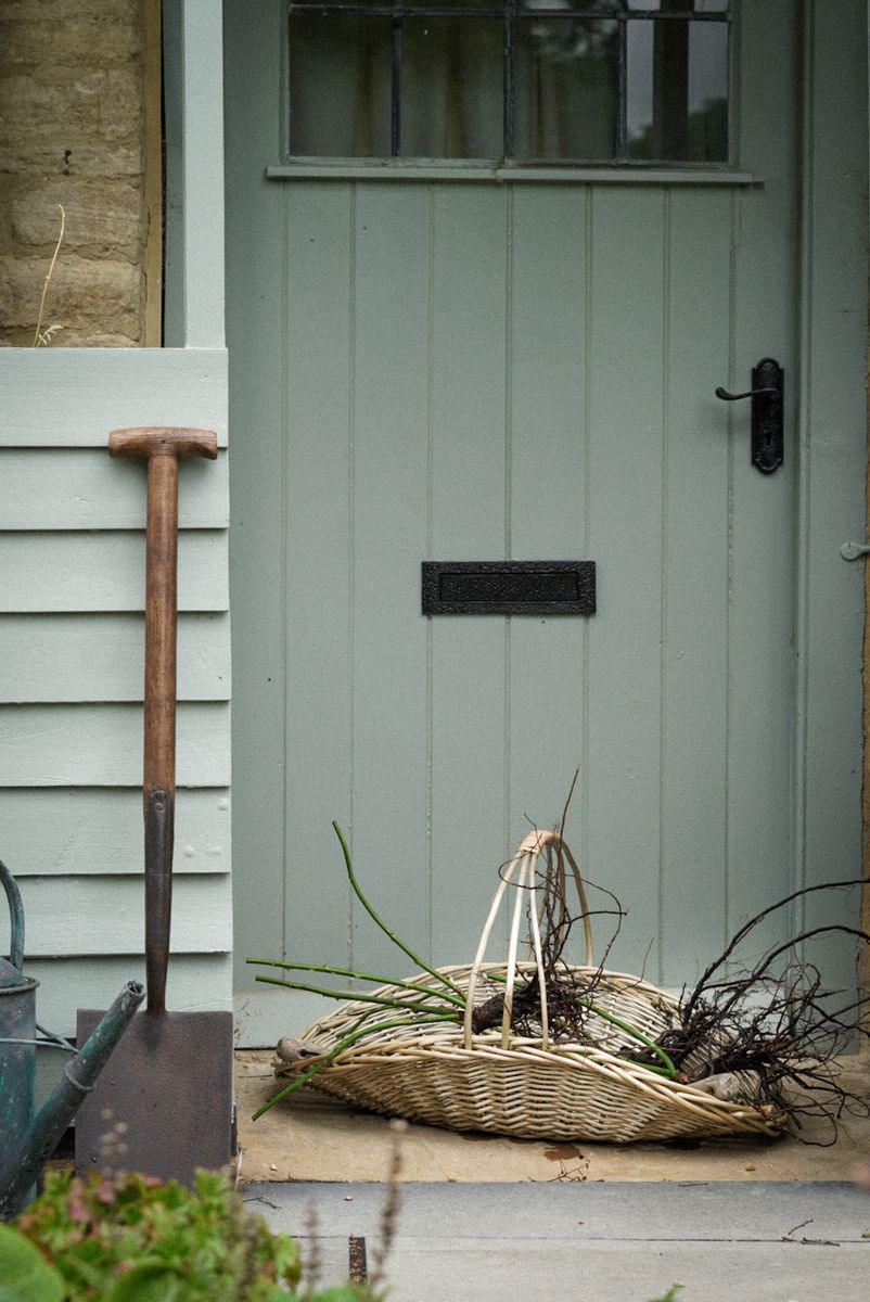 David Austin Roses champions slow living with the bare root rose revival  