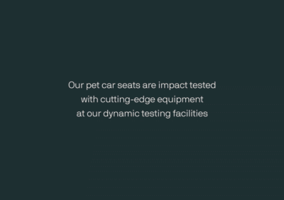 Short Video Content of Maeve Car Seat in Crash Test Scenario 