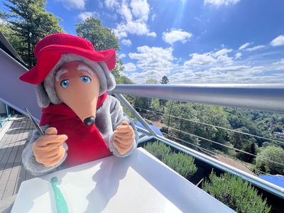 Orinoco ready for breakfast in the Vista Restuarant Heights of Abrahm.jpeg