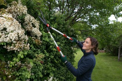 Telescopic Hedge Shears