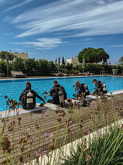 Diving.jpeg