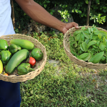 FRESH PRODUCE.JPG
