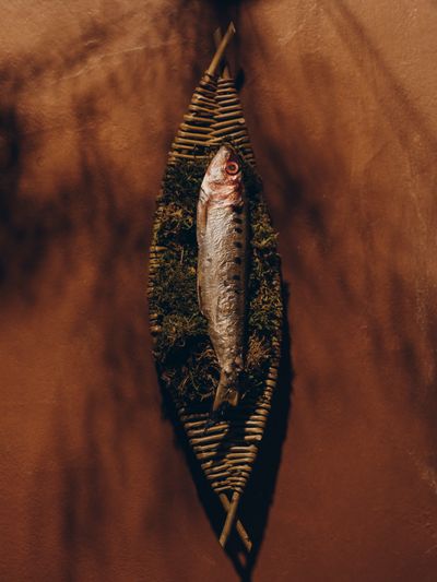 YERA-Food-1©Charlotte Lapalus-FORESTIS (5).jpg