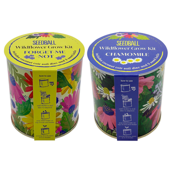 Wildflower Grow Kit