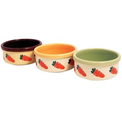 Ceramic Carrot bowls