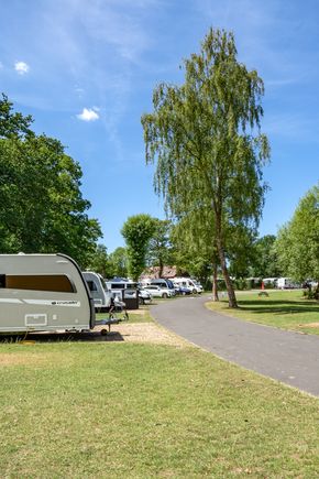 horsley-camping.jpg