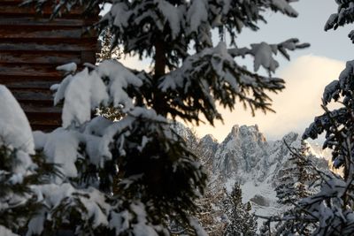 OdlesLodge-Nature-Winter-©Odles Lodge_Konstantin Volkmar (26).jpg