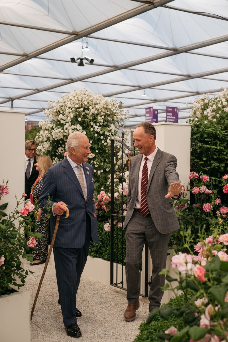 David Austin Roses receive 29th Gold for ‘The King’s Rose’ Showcase at RHS Chelsea Flower Show 2025