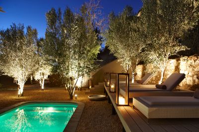 olive283 (1).jpg