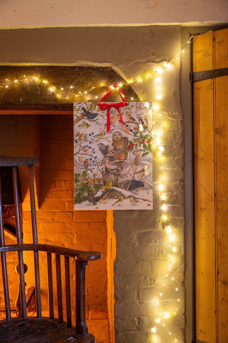 Birdsong Advent Calendar, £34.95 (one calendar). 