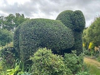 Angela Hawkins - Second Place in UK Home Gardener Category