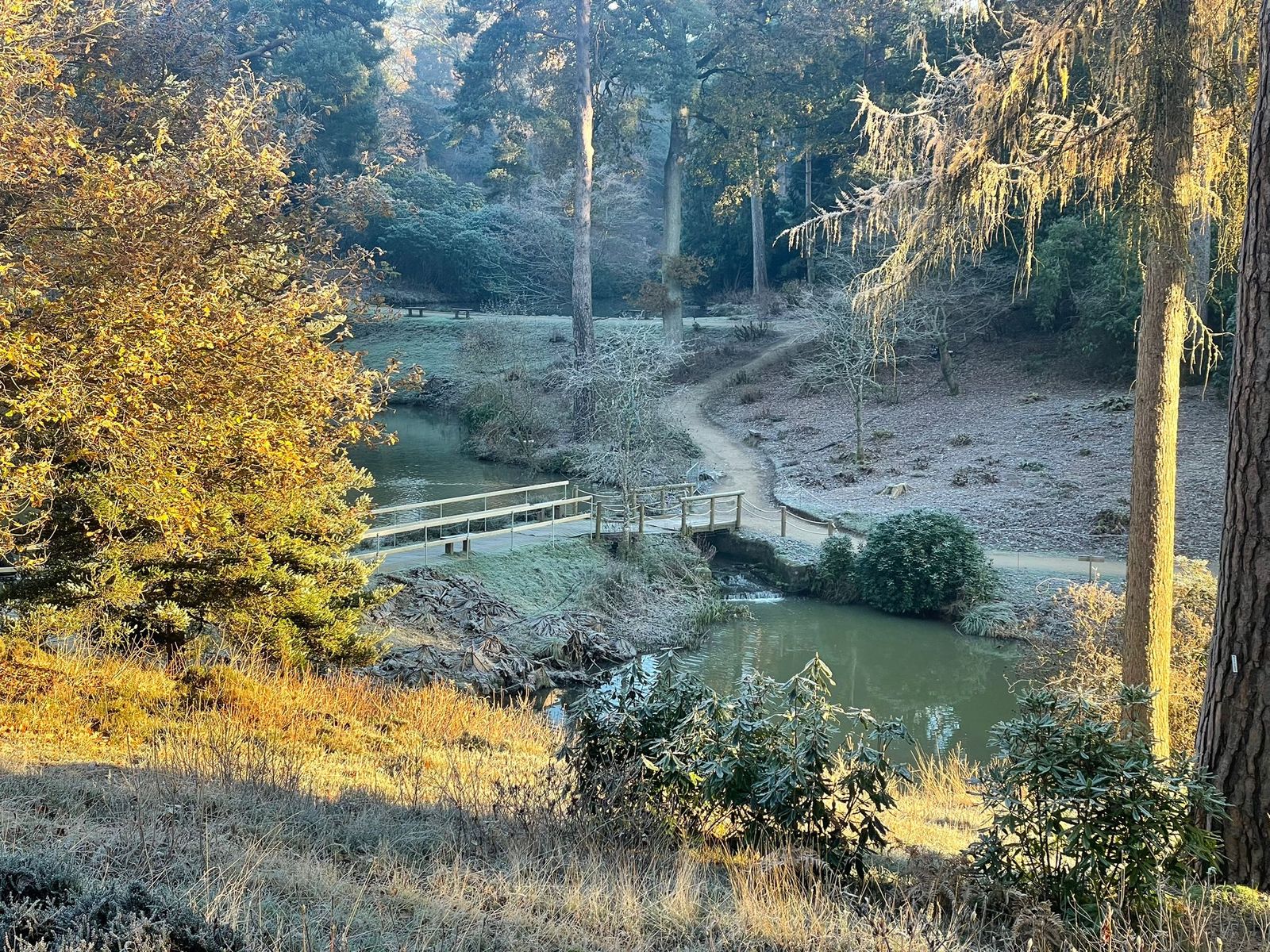 LLG-winter-dec-2022-bridge.jpg