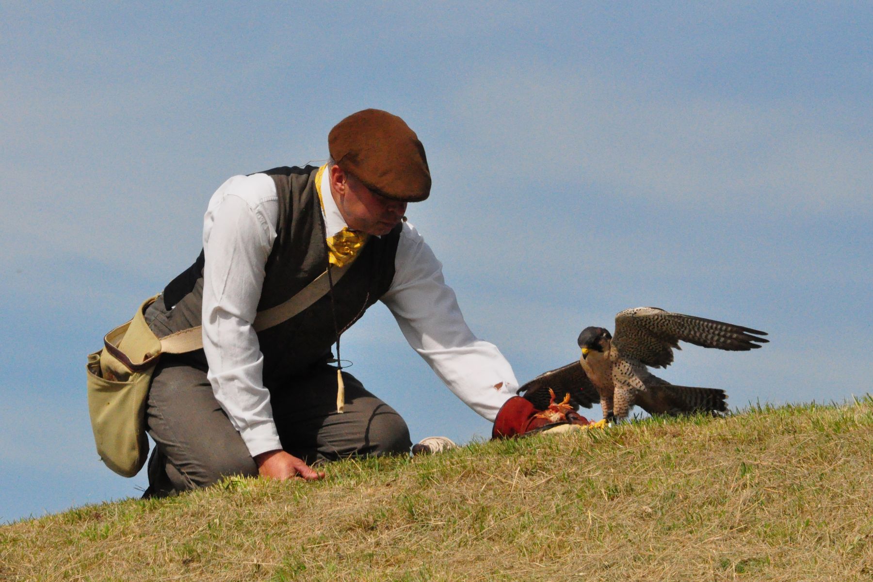 Raphael Historic Falconry 2 - credit John Taylor.jpg