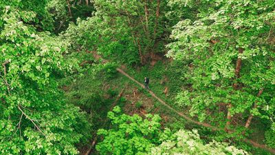 Lee-Trail-2025-LPB24-©Leptitbaroudeur.jpg