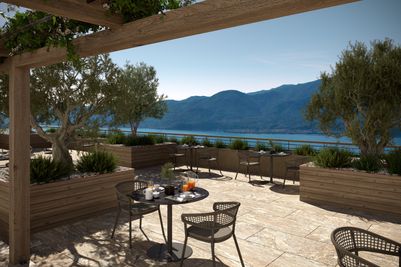 Olive_roof_terrace.jpg