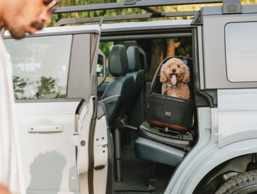 The award-winning Maeve 3-in-1 Pet Protection System redefines luxury and safety for pet travel. 