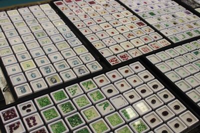 The London Gem & Mineral Show 2024 - Gemstones.JPG