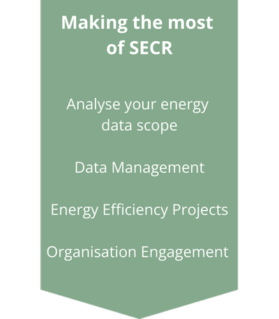 Making-the-most-of-SECR