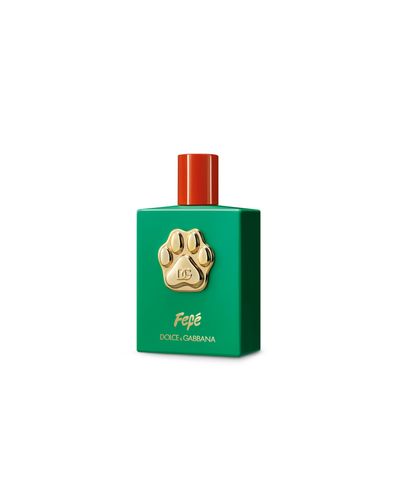 Dolce&Gabbana Fefé
