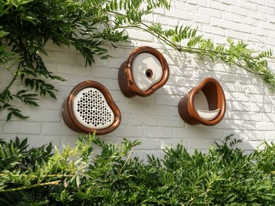b's organic collection