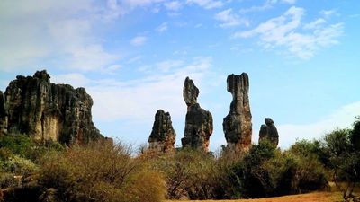 Stone Forest (9).jpg