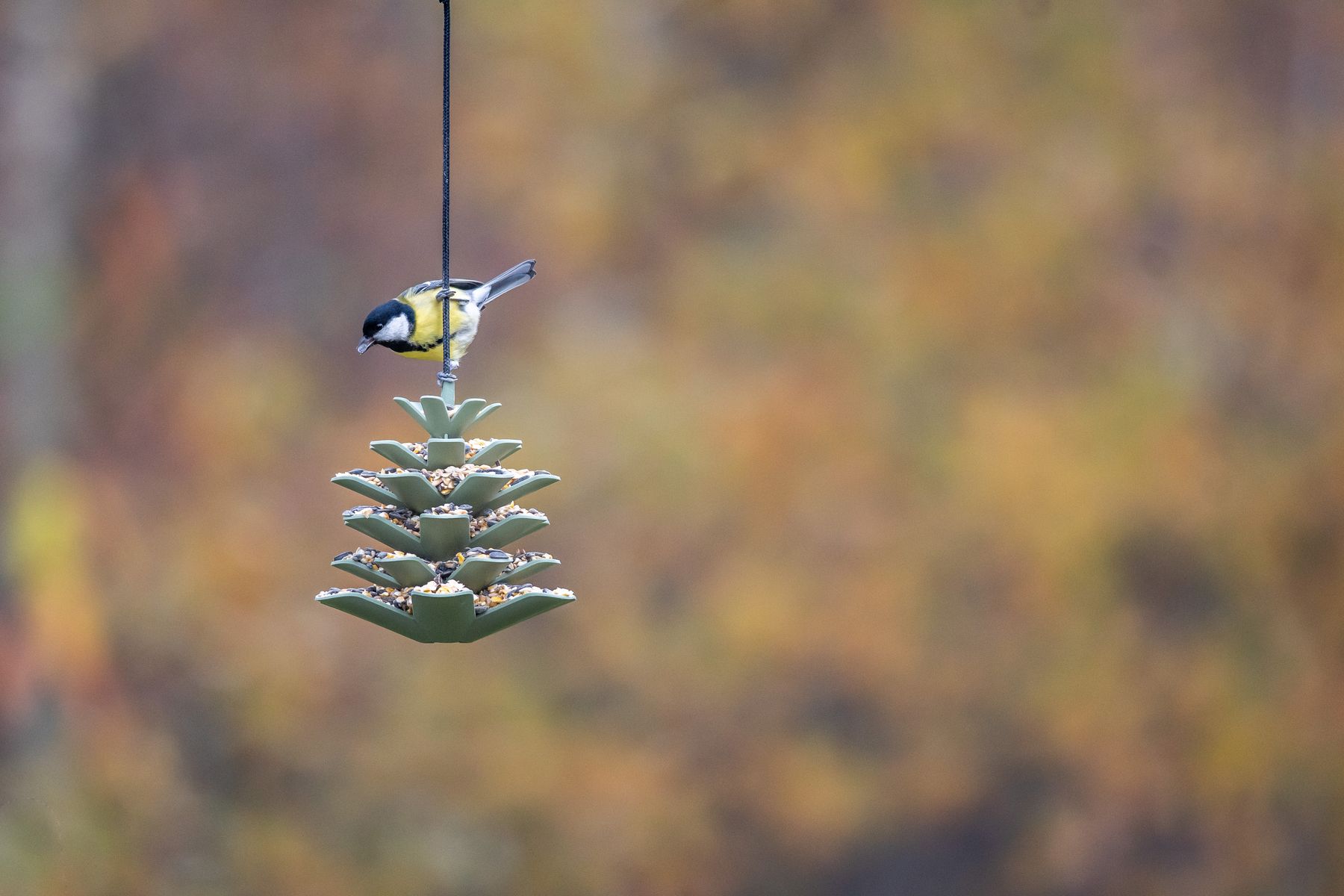 CJ Wildlife Jesse Feeder.jpg