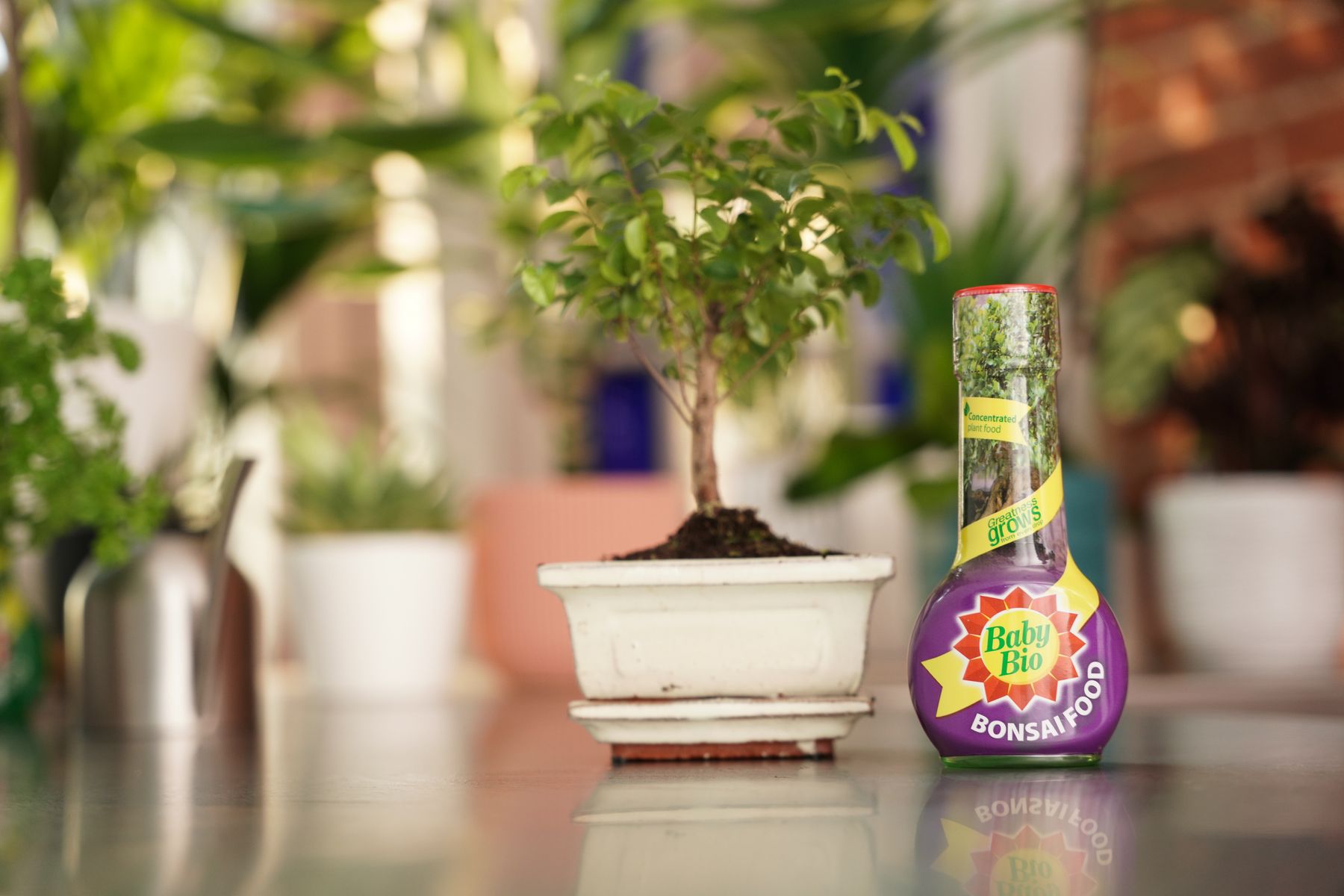 Baby Bio® Bonsai Food