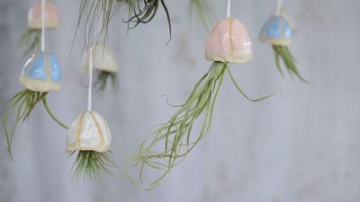 Suggested Header 2000px Habulous, Jellyfish Air Plant Holder , £18.5, 7911633.jpg