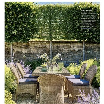 The English Garden Spring-23 Pg73, Mayfair Garden Set Lifestyle.png