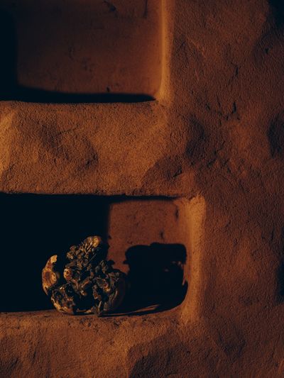YERA-Details-1©Charlotte Lapalus-FORESTIS (9).jpg