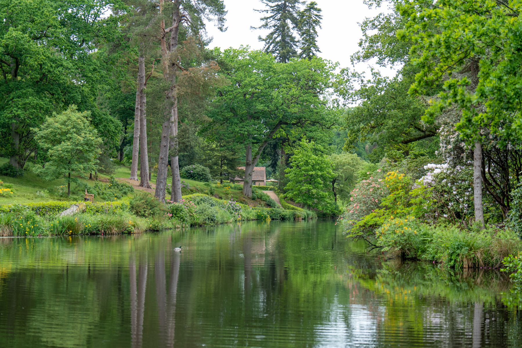 summer-justin-lewis- waterfall-pond-engine-house.jpg