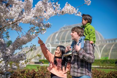 Spring at Kew Gardens - CREDIT - Ines Stuart-Davidson © RBG Kew.sm