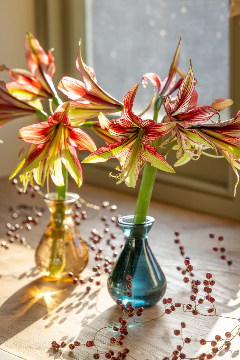 Sophisticated Jewel Vase Collection.jpg