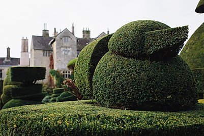 Levens Hall and Gardens, at Levens, near Kendal, in the Southern Lake District, UK.  .    