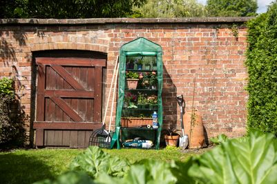 5 Tier Greenhouse