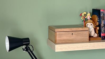 2000px Thorndown Reed Green Wall Paint.jpg